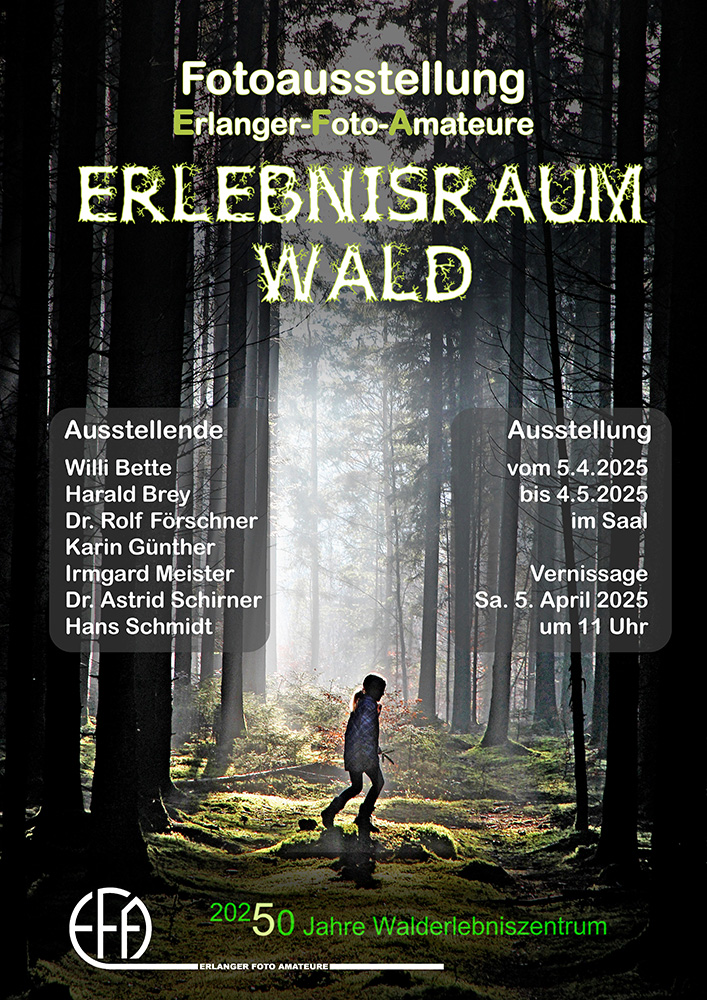 Ausstellung: Erlebnisraum Wald